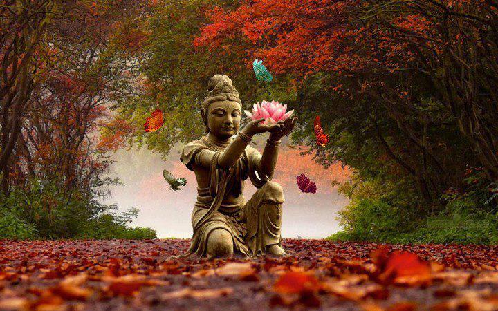 fall-buddha